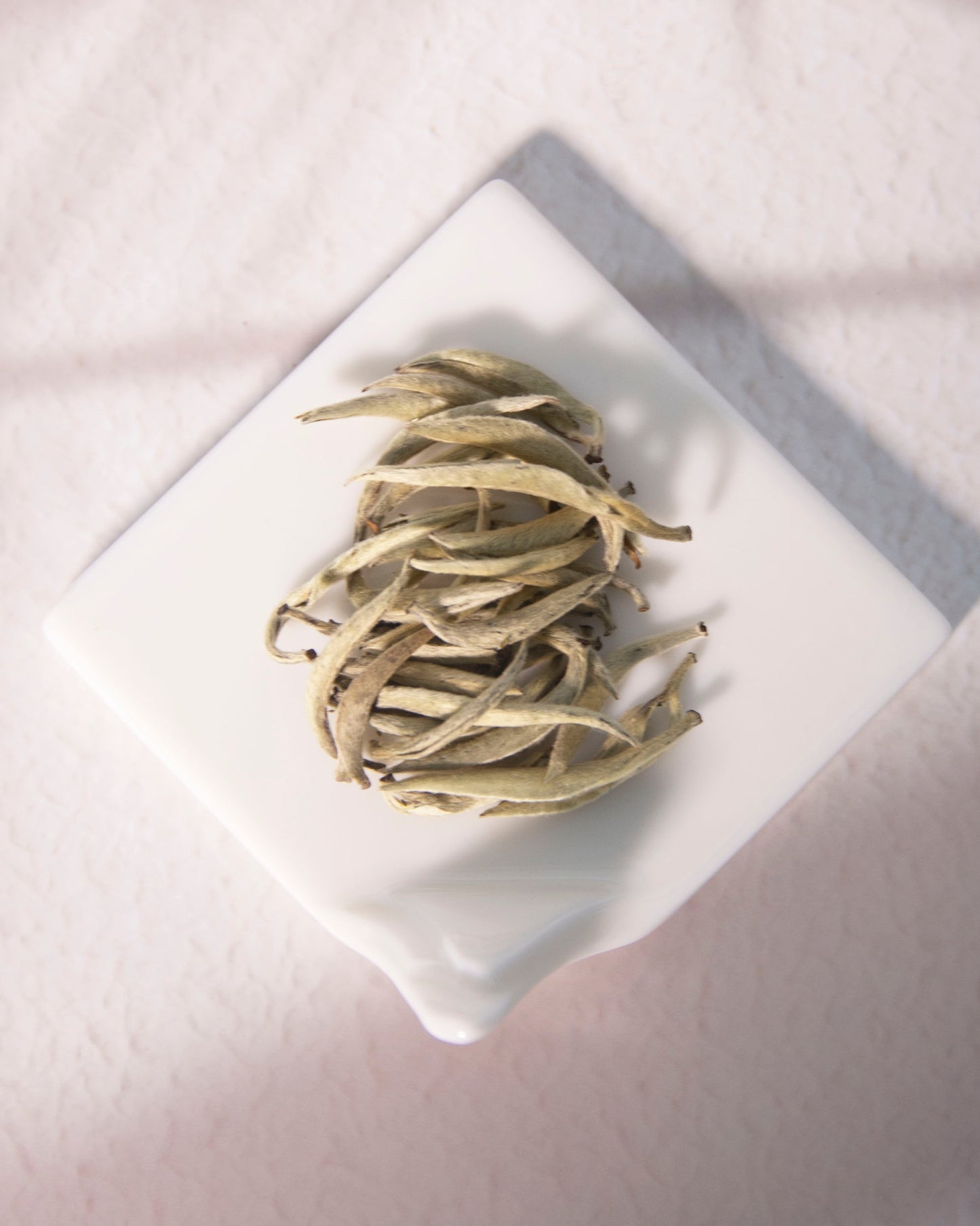 Premium Silver Needle White Tea Loose Leaf Sample